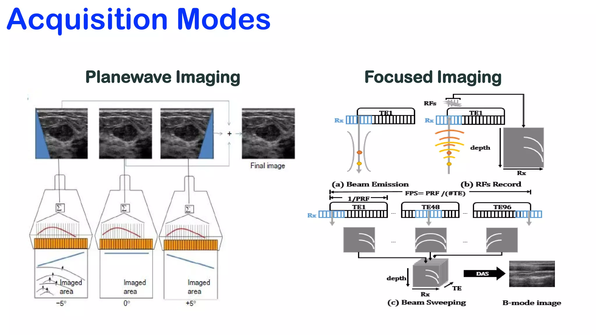 Deep Learning-Based Universal Beamformer for Ultrasound Imaging | PDF