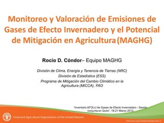 “Inventario AFOLU de Gases de Efecto Invernadero - Sesión
conjunta en Quito”, 18-21 Marzo 2013
Monitoreo y Valoración de Emisiones de
Gases de Efecto Invernadero y el Potencial
de Mitigación en Agricultura(MAGHG)
Rocío D. Cóndor– Equipo MAGHG
División de Clima, Energía y Tenencia de Tierras (NRC)
División de Estadística (ESS)
Programa de Mitigación del Cambio Climático en la
Agricultura (MICCA), FAO
 