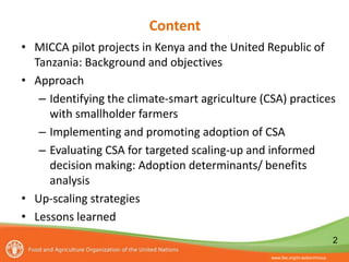 Planning, implementing and evaluating Climate-Smart Agriculture in smallholder farming systems