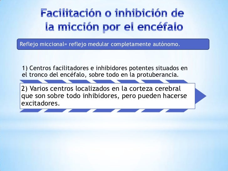 Resultado de imagen para Facilitación o inhibición de la micción por el encéfalo