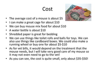 Cost
• The average cost of a mouse is about $5
• I can make a great cage for about $10
• We can buy mouse mix food for about $10
• A water bottle is about $10
• Shredded paper is great for bedding
• We can use things like toilet rolls and balls for toys. We can
also use things like cardboard boxes. We could also make a
running wheel or buy one for about $5-$10
• As for vet bills, it would depend on the treatment that the
mouse needs, but I will take very good care of my mouse so
it may not even need to go to the vet!
• As you can see, the cost is quite small, only about $35-$50!
 