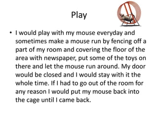 Play
• I would play with my mouse everyday and
sometimes make a mouse run by fencing off a
part of my room and covering the floor of the
area with newspaper, put some of the toys on
there and let the mouse run around. My door
would be closed and I would stay with it the
whole time. If I had to go out of the room for
any reason I would put my mouse back into
the cage until I came back.
 