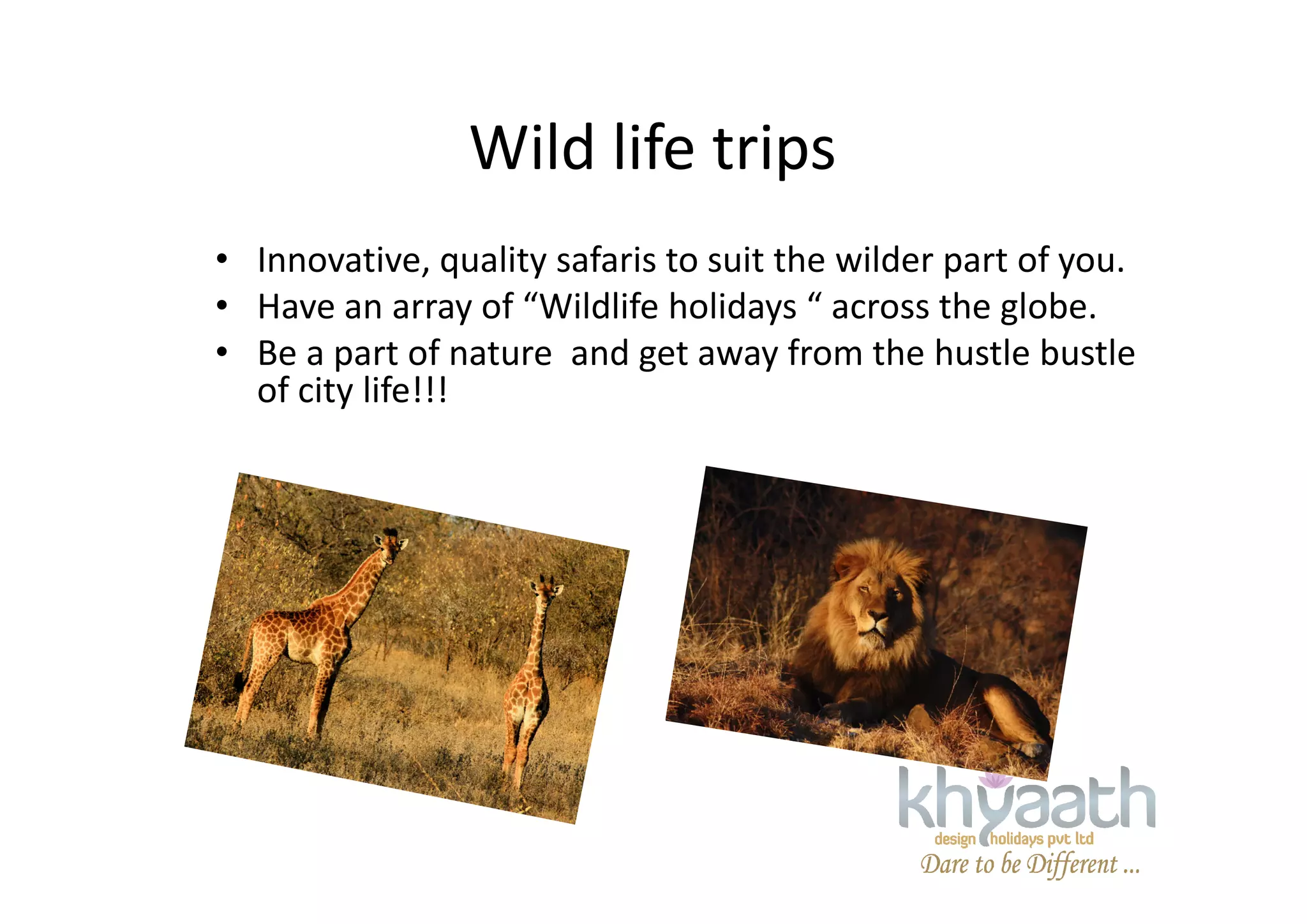 Wild life trips
• Innovative, quality safaris to suit the wilder part of you.
• Have an array of “Wildlife holidays “ across the globe.
• Be a part of nature and get away from the hustle bustle
of city life!!!
 