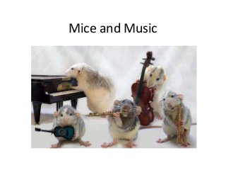 Mice and Music 
 