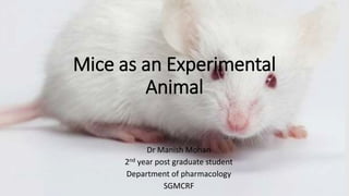 Mice as an Experimental
Animal
Dr Manish Mohan
2nd year post graduate student
Department of pharmacology
SGMCRF
 