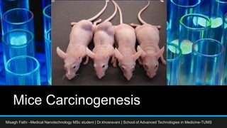 Mice Carcinogenesis
Misagh Fathi –Medical Nanotechnology MSc student | Dr.khosravani | School of Advanced Technologies in Medicine-TUMS
 