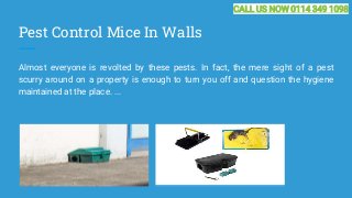 Pest Control Mice In Walls
Almost everyone is revolted by these pests. In fact, the mere sight of a pest
scurry around on ...