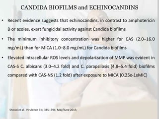 CANDIDA BIOFILMS and ECHINOCANDINS
• Recent evidence suggests that echinocandins, in contrast to amphotericin
B or azoles, exert fungicidal activity against Candida biofilms
• The minimum inhibitory concentration was higher for CAS (2.0–16.0
mg/mL) than for MICA (1.0–8.0 mg/mL) for Candida biofilms
• Elevated intracellular ROS levels and depolarization of MMP was evident in
CAS-S C. albicans (3.0–4.2 fold) and C. parapsilosis (4.8–5.4 fold) biofilms
compared with CAS-NS (1.2 fold) after exposure to MICA (0.25x-1xMIC)
Shirazi et al. Virulence 6:4, 385--394; May/June 2015;
 