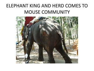 ELEPHANT KING AND HERD COMES TO 
MOUSE COMMUNITY 
 