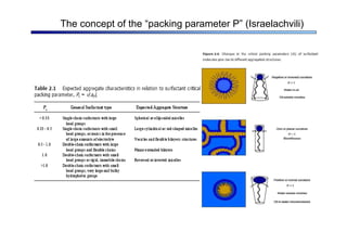 The concept of the “packing parameter P” (Israelachvili)
 