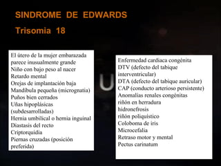 SINDROME  DE  EDWARDS Trisomia  18 El útero de la mujer embarazada parece inusualmente grande  Niño con bajo peso al nacer  Retardo mental  Orejas de implantación baja  Mandíbula pequeña (micrognatia)  Puños bien cerrados  Uñas hipoplásicas (subdesarrolladas)  Hernia umbilical o hernia inguinal  Diastasis del recto  Criptorquidia  Piernas cruzadas (posición preferida)  Enfermedad cardiaca congénita  DTV (defecto del tabique interventricular)  DTA (defecto del tabique auricular)  CAP (conducto arterioso persistente)  Anomalías renales congénitas  riñón en herradura  hidronefrosis  riñón poliquístico  Coloboma de iris  Microcefalia  Retraso motor y mental  Pectus carinatum  