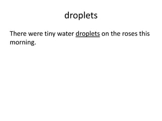 droplets
There were tiny water droplets on the roses this
morning.
 