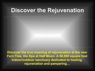 Discover the Rejuvenation Discover the true meaning of rejuvenation at the new Fern Tree, the Spa at Half Moon. A 68,000 square foot indoor/outdoor sanctuary dedicated to healing, rejuvenation and pampering… 