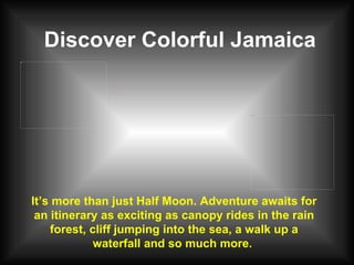 Discover Colorful Jamaica It’s more than just Half Moon. Adventure awaits for an itinerary as exciting as canopy rides in the rain forest, cliff jumping into the sea, a walk up a waterfall and so much more.  