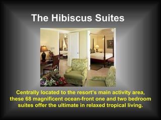 The Hibiscus Suites Centrally located to the resort’s main activity area, these 68 magnificent ocean-front one and two bedroom suites offer the ultimate in relaxed tropical living. 