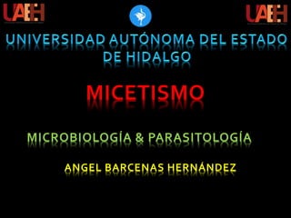 MICETISMO
MICROBIOLOGÍA & PARASITOLOGÍA
ANGEL BARCENAS HERNÁNDEZ
 