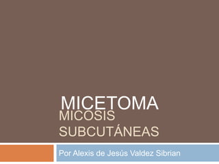 MICOSIS
SUBCUTÁNEAS
Por Alexis de Jesús Valdez Sibrian
MICETOMA
 