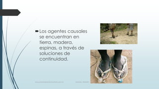 Los agentes causales
se encuentran en
tierra, madera,
espinas, a través de
soluciones de
continuidad.
www.pharmedsolutionsinstitute.com.mx Informes. 36246001
 