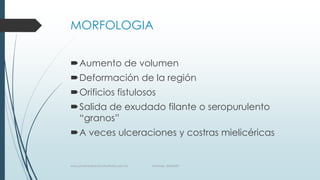 MORFOLOGIA
Aumento de volumen
Deformación de la región
Orificios fistulosos
Salida de exudado filante o seropurulento
“granos”
A veces ulceraciones y costras mielicéricas
www.pharmedsolutionsinstitute.com.mx Informes. 36246001
 