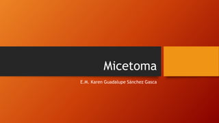 Micetoma
E.M. Karen Guadalupe Sánchez Gasca
 