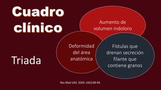 Triada
Aumento de
volumen indoloro
Deformidad
del área
anatómica
Fístulas que
drenan secreción
filante que
contiene granos
Rev Med UAS. 2020; 10(2):89-94.
 
