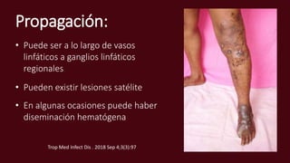 Propagación:
• Puede ser a lo largo de vasos
linfáticos a ganglios linfáticos
regionales
• Pueden existir lesiones satélite
• En algunas ocasiones puede haber
diseminación hematógena
Trop Med Infect Dis . 2018 Sep 4;3(3):97
 