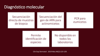 Diagnóstico molecular
Clin Exp Dermatol . 2019 Mar;44(2):123-129.
Secuenciación
directa de muestras
de biopsia
Secuenciación del
gen de ARN para
actinomicetos
PCR para
eumicetos
Permite
identificación de
especies
No disponible en
todos los
laboratorios
 