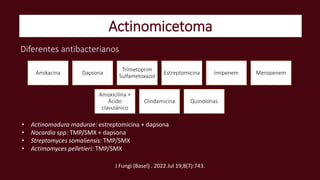 Actinomicetoma
Diferentes antibacterianos
Amikacina Dapsona
Trimetoprim
Sulfametoxazol
Estreptomicina Imipenem Meropenem
Amoxicilina +
Ácido
clavulánico
Clindamicina Quinolonas
• Actinomadura madurae: estreptomicina + dapsona
• Nocardia spp: TMP/SMX + dapsona
• Streptomyces somaliensis: TMP/SMX
• Actimomyces pelletieri: TMP/SMX
J Fungi (Basel) . 2022 Jul 19;8(7):743.
 