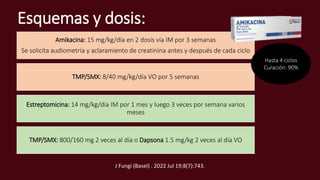 Esquemas y dosis:
Amikacina: 15 mg/kg/día en 2 dosis vía IM por 3 semanas
Se solicita audiometría y aclaramiento de creatinina antes y después de cada ciclo
TMP/SMX: 8/40 mg/kg/día VO por 5 semanas
Estreptomicina: 14 mg/kg/día IM por 1 mes y luego 3 veces por semana varios
meses
TMP/SMX: 800/160 mg 2 veces al día o Dapsona 1.5 mg/kg 2 veces al día VO
Hasta 4 ciclos
Curación: 90%
J Fungi (Basel) . 2022 Jul 19;8(7):743.
 