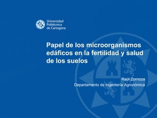 Papel de los microorganismos
edáficos en la fertilidad y salud
de los suelos
Raúl Zornoza
Departamento de Ingeniería Agronómica
 