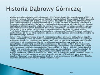 Według spisu ludności diecezji krakowskiej z 1787 osada liczyła 184 mieszkańców. W 1795, w
wyniku III rozbioru Polski, Dąbrowa przyłączona została do Prus (Nowy Śląsk). W 1799 powstała
pierwsza znana mapa tych okolic, z której wynika, że zalążkiem osady była "Stara Dąbrowa" –
wieś zlokalizowana przy trakcie prowadzącym z Krakowa na Śląsk, w okolicach obecnej ul. A.
Struga i na południe od niej. We wsi tej znajdowała się karczma starościńska, kuźnia, studnia i
kapliczka. Z okresem pruskim wiąże się początek intensywnego rozwoju gospodarczego wsi,
spowodowanego odkryciem zasobnych złóż węgla kamiennego. Na terenie Dąbrowy odkryto
pod koniec XVIII w. jeden z najgrubszych na świecie pokład węglowy, nazwany później
"redeńskim" . W niecce kazimierzowskiej grubość tego pokładu (pokład 510 grupy siodłowej)
dochodziła do 20 m, ale tylko na terenie obecnego miasta Dąbrowa Górnicza była wychodna na
powierzchnię tego pokładu.
Już w 1796 z inicjatywy władz pruskich rozpoczęto budowę pierwszej odkrywkowej kopalni
węgla kamiennego, która od nazwiska dyrektora górnictwa w rządzie pruskim – hr. Fryderyka
Wilhelma Redena – otrzymała nazwę "Reden". Od 1806 zaczęła obok niej powstawać kolonia
robotnicza o tej samej nazwie. Dalszy rozwój przemysłowy Dąbrowy łączy się już z
działalnością inwestycyjną rządu Królestwa Polskiego, do którego w 1815 Dąbrowa została
włączona. W okresie tym wiele nowych pokładów węgla odkrył Józef Cieszkowski, na których
uruchomiono w 1846 roku nową kopalnię "Cieszkowski". W latach 1816-1823 obok kopalni
"Reden", na terenie obecnego osiedla K. Adamieckiego, powstała huta cynku "Konstanty". Do
wytopu metali wykorzystywano rudy galmanu przywożone z kopalń w Strzemieszycach
Małych, Sławkowie, Żychcicach i Olkuszu. Około 1820 przy kopalni "Reden" powstała pierwsza
w Dąbrowie szkoła elementarna, wkrótce potemlazaret. W 1825 pod Będzinem powstała
kopalnia "Ksawery", która dała początek dzielnicy o tej samej nazwie oraz Mydlicom. Kopalnia
ta została znacznie rozbudowana przez Cieszkowskiego.
WSB
 