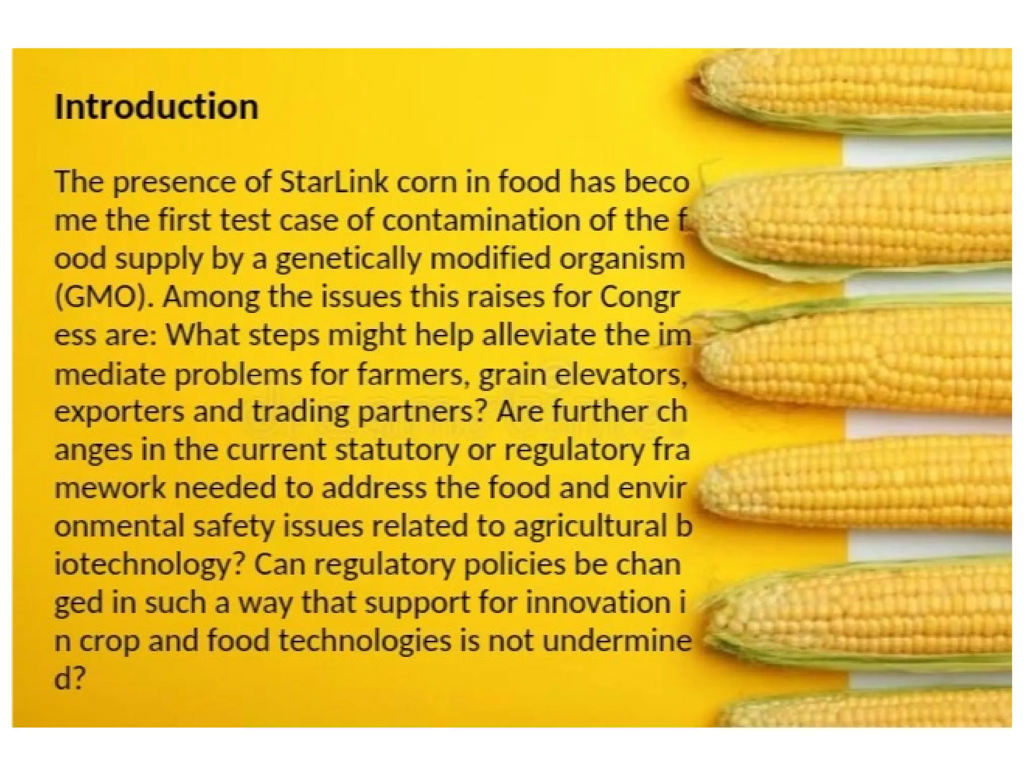 Michael-Labe-Starlink-corn controversy-ppt.pptx
