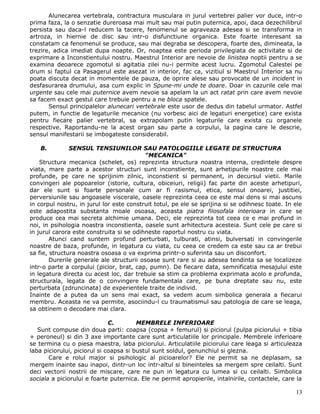 Alunecarea vertebrala, contractura musculara in jurul vertebrei palier vor duce, intr-o
prima faza, la o senzatie dureroasa mai mult sau mai putin puternica, apoi, daca dezechilibrul
persista sau daca-l reducem la tacere, fenomenul se agraveaza adesea si se transforma in
artroza, in hiernie de disc sau intr-o disfunctiune organica. Este foarte interesant sa
constatam ca fenomenul se produce, sau mai degraba se descopera, foarte des, dimineata, la
trezire, adica imediat dupa noapte. Or, noaptea este perioda privilegiata de activitate si de
exprimare a Inconstientului nostru. Maestrul Interior are nevoie de linistea noptii pentru a se
examina deoarece zgomotul si agitatia zilei nu-i permite acest lucru. Zgomotul Calestei pe
drum si faptul ca Pasagerul este asezat in interior, fac ca, vizitiul si Maestrul Interior sa nu
poata discuta decat in momentele de pauza, de oprire alese sau provocate de un incident in
desfasurarea drumului, asa cum explic in Spune-mi unde te doare. Doar in cazurile cele mai
urgente sau cele mai puternice avem nevoie sa apelam la un act ratat prin care avem nevoie
sa facem exact gestul care trebuie pentru a ne bloca spatele.
       Sensul principalelor alunecari vertebrale este usor de dedus din tabelul urmator. Astfel
putem, in functie de legaturile mecanice (nu vorbesc aici de legaturi energetice) care exista
pentru fiecare palier vertebral, sa extrapolam putin legaturile care exista cu organele
respective. Raportandu-ne la acest organ sau parte a corpului, la pagina care le descrie,
sensul manifestarii se imbogateste considerabil.

   B.          SENSUL TENSIUNILOR SAU PATOLOGIILE LEGATE DE STRUCTURA
                                          "MECANICA"
    Structura mecanica (schelet, os) reprezinta structura noastra interna, credintele despre
viata, mare parte a acestor structuri sunt inconstiente, sunt arhetipurile noastre cele mai
profunde, pe care ne sprijinim zilnic, inconstient si permanent, in decursul vietii. Marile
convingeri ale popoarelor (istorie, cultura, obiceiuri, religii) fac parte din aceste arhetipuri,
dar ele sunt si foarte personale cum ar fi rasismul, etica, sensul onoarei, justitiei,
perversiunile sau angoasele viscerale, oasele reprezinta ceea ce este mai dens si mai ascuns
in corpul nostru, in jurul lor este construit totul, pe ele se sprijina si se odihnesc toate. In ele
este adapostita substanta moale osoasa, aceasta piatra filosofala interioara in care se
produce cea mai secreta alchimie umana. Deci, ele reprezinta tot ceea ce e mai profund in
noi, in psihologia noastra inconstienta, oasele sunt arhitectura acesteia. Sunt cele pe care si
in jurul carora este construita si se odihneste raportul nostru cu viata.
        Atunci cand suntem profund perturbati, tulburati, atinsi, bulversati in convingerile
noastre de baza, profunde, in legatura cu viata, cu ceea ce credem ca este sau ca ar trebui
sa fie, structura noastra osoasa o va exprima printr-o suferinta sau un disconfort.
        Durerile generale ale structurii osoase sunt rare si au adesea tendinta sa se localizeze
intr-o parte a corpului (picior, brat, cap, pumn). De fiecare data, semnificatia mesajului este
in legatura directa cu acest loc, dar trebuie sa stim ca problema exprimata acolo e profunda,
structurala, legata de o convingere fundamentala care, pe buna dreptate sau nu, este
perturbata (zdruncinata) de experientele traite de individ.
Inainte de a putea da un sens mai exact, sa vedem acum simbolica generala a fiecarui
membru. Aceasta ne va permite, asociindu-l cu traumatismul sau patologia de care se leaga,
sa obtinem o decodare mai clara.

                              C.        MEMBRELE INFERIOARE
   Sunt compuse din doua parti: coapsa (copsa + femurul) si piciorul (pulpa piciorului + tibia
+ peroneul) si din 3 axe importante care sunt articulatiile lor principale. Membrele inferioare
se termina cu o piesa maestra, laba piciorului. Articulatiile piciorului care leaga si articuleaza
laba piciorului, piciorul si coapsa si bustul sunt soldul, genunchiul si glezna.
       Care e rolul major si psihologic al picioarelor? Ele ne permit sa ne deplasam, sa
mergem inainte sau inapoi, dintr-un loc intr-altul si bineinteles sa mergem spre ceilalti. Sunt
deci vectorii nostrii de miscare, care ne pun in legatura cu lumea si cu ceilalti. Simbolica
sociala a piciorului e foarte puternica. Ele ne permit apropierile, intalnirile, contactele, care la

                                                                                                 13
 