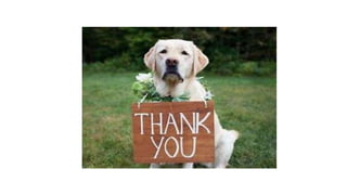 Michael addition reaction 