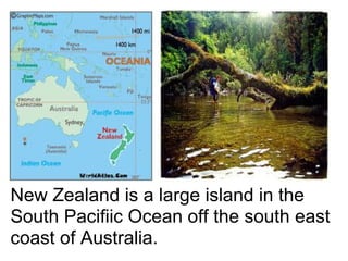 New Zealand is a large island in the
South Pacifiic Ocean off the south east
coast of Australia.