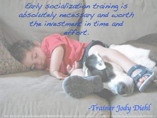 Early socialization training is
absolutely necessary and worth
the investment in time and
effort.!

-Trainer Jody Diehl 	

Photo Credit: <a href="http://www.ﬂickr.com/photos/89119745@N00/5962458537/">russteaches</a> via <a href="http://compﬁght.com">Compﬁght</a> <a href="http://creativecommons.org/licenses/by/2.0/">cc</a>	


 