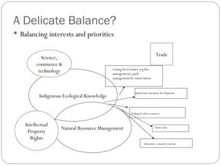 A Delicate Balance? Balancing interests and priorities Indigenous Ecological Knowledge Natural Resource Management Caring for Country (eg fire management); park management & conservation Bush foods enterprise development Fishing & other resources Native title Education, research, tourism Trade Intellectual Property Rights Science, commerce & technology 