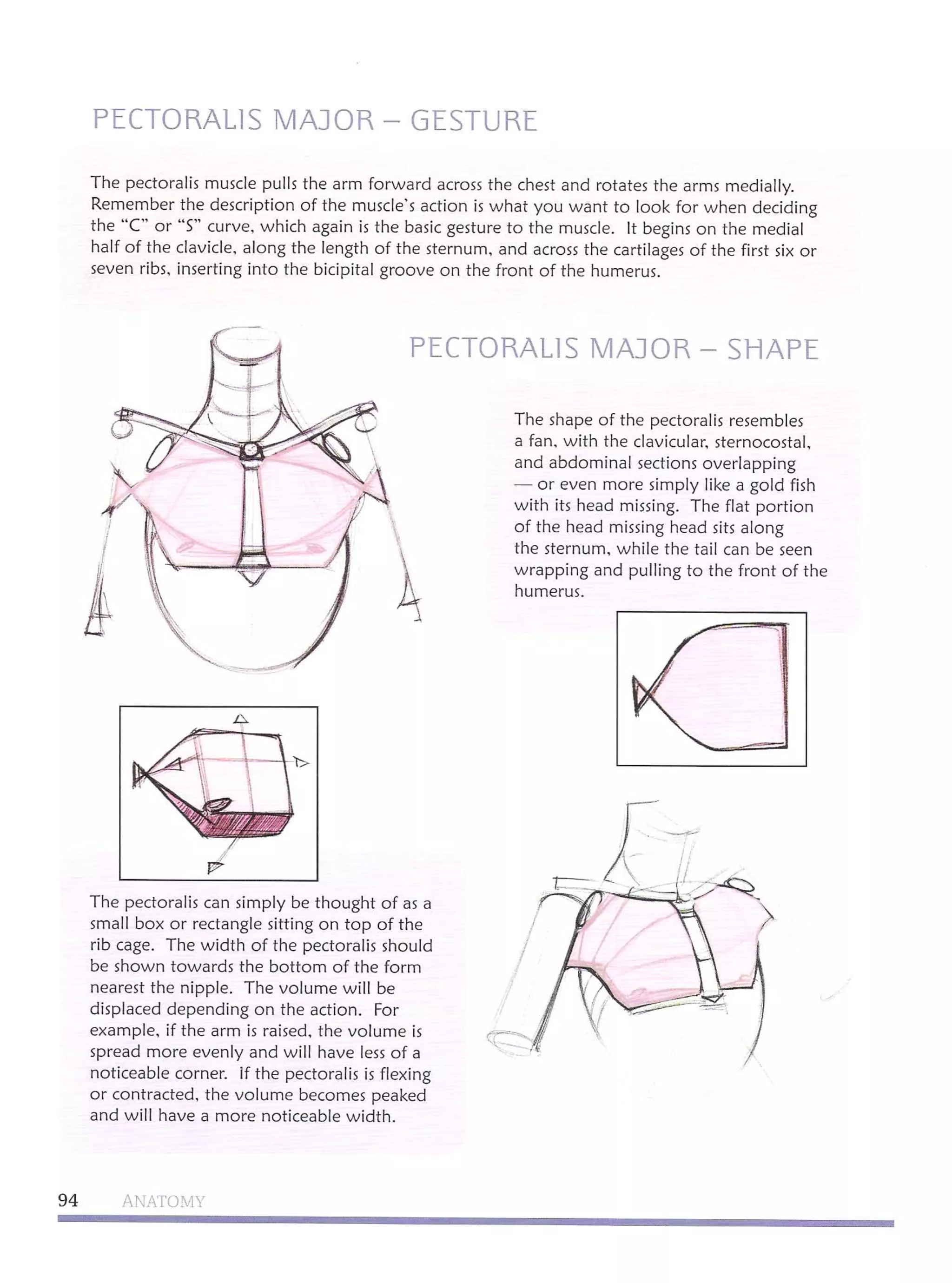Michael hampton  figure drawing - design and invention