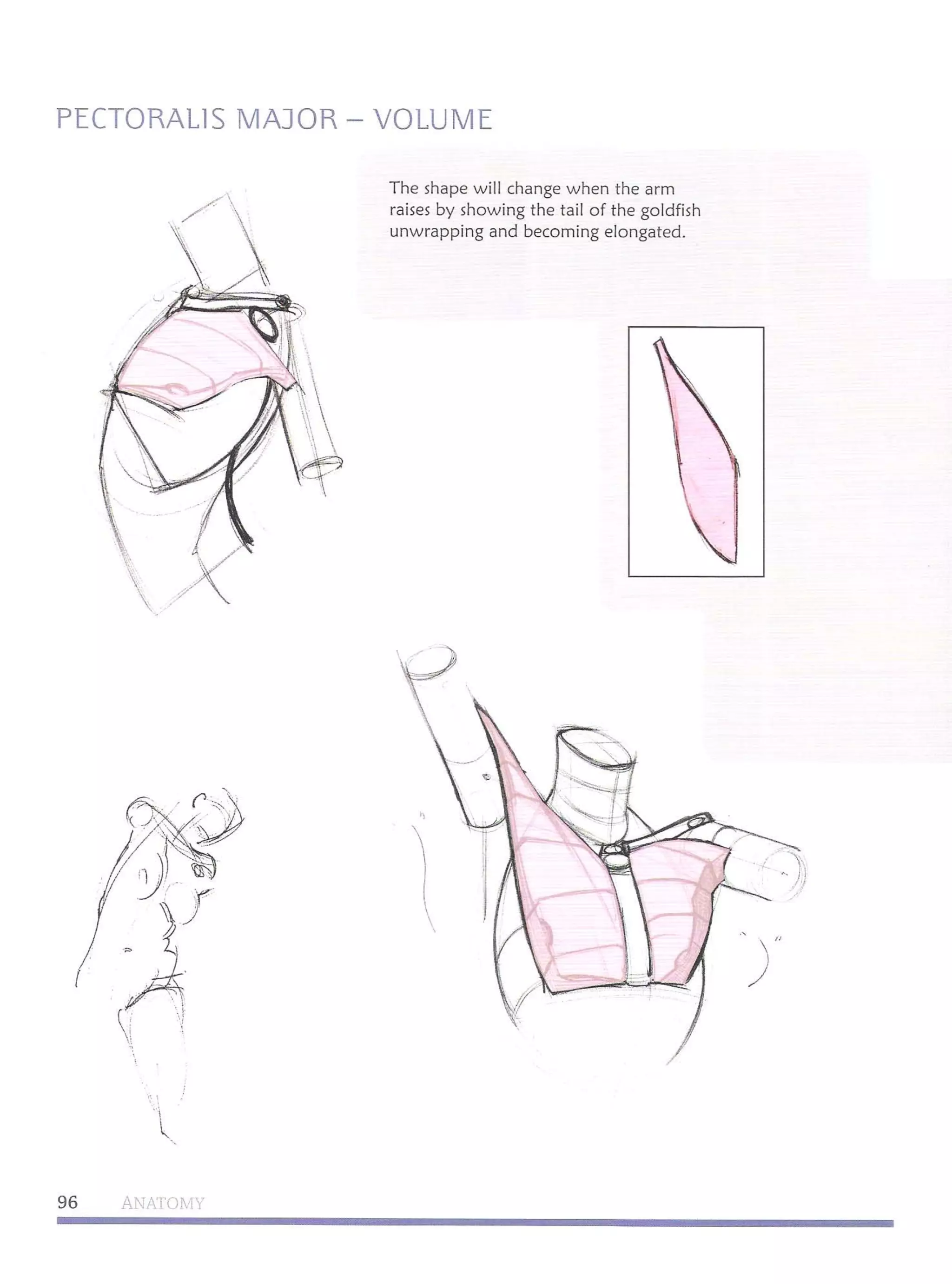 Michael hampton  figure drawing - design and invention