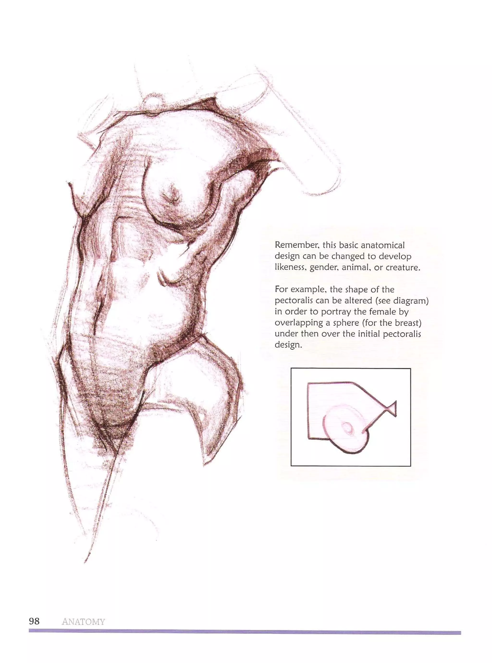 Michael hampton  figure drawing - design and invention