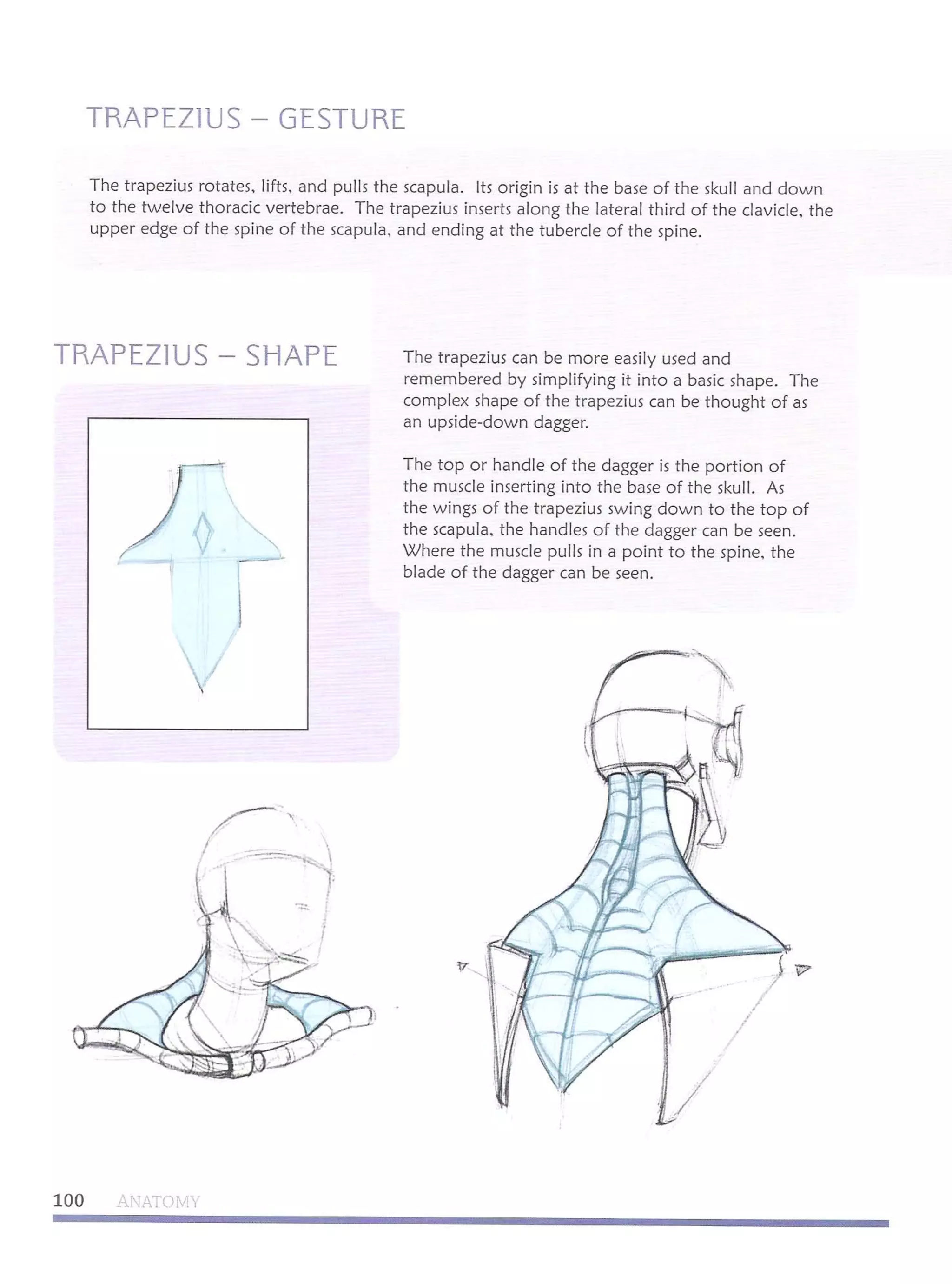 Michael hampton  figure drawing - design and invention