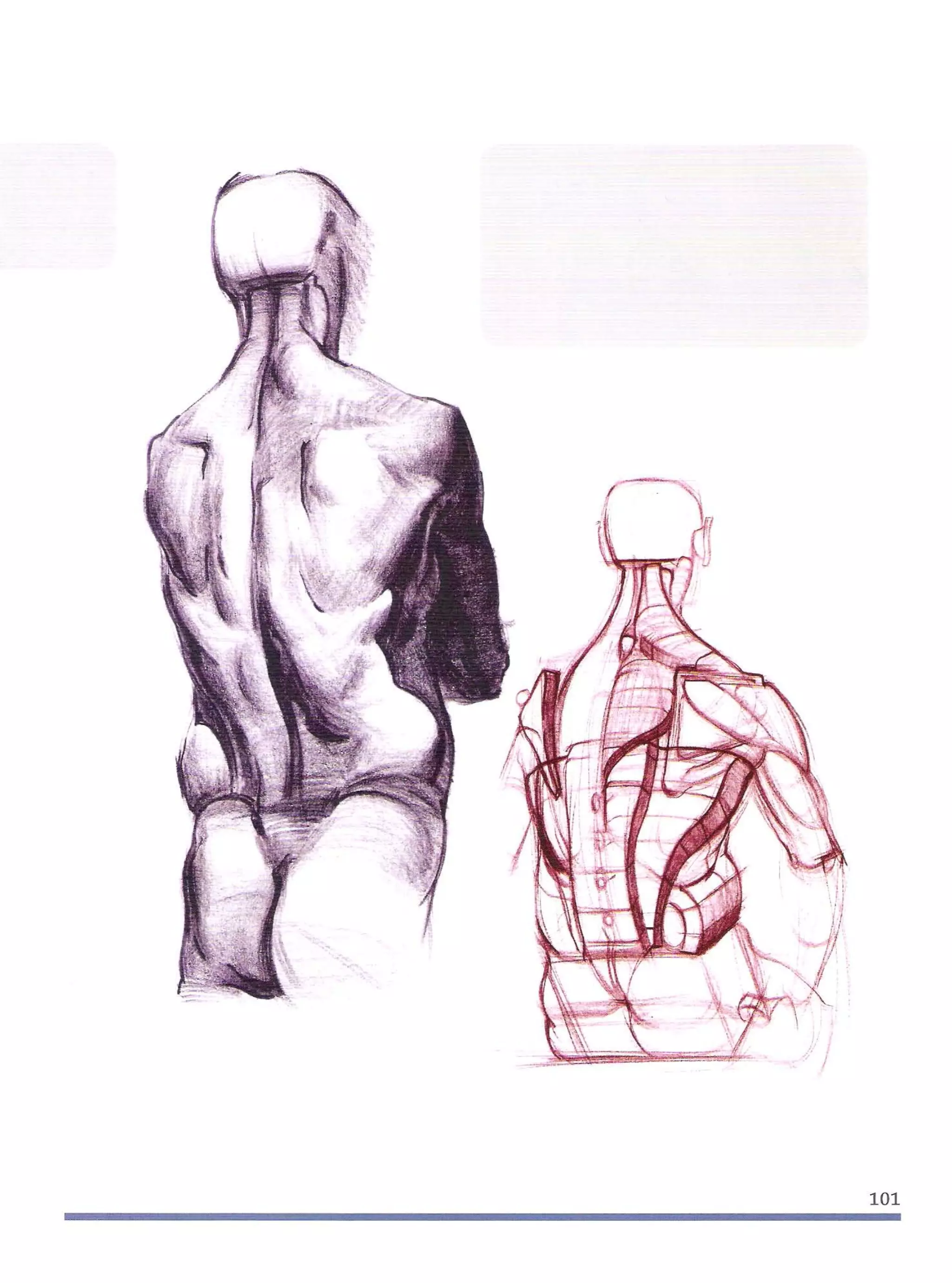 Michael hampton  figure drawing - design and invention