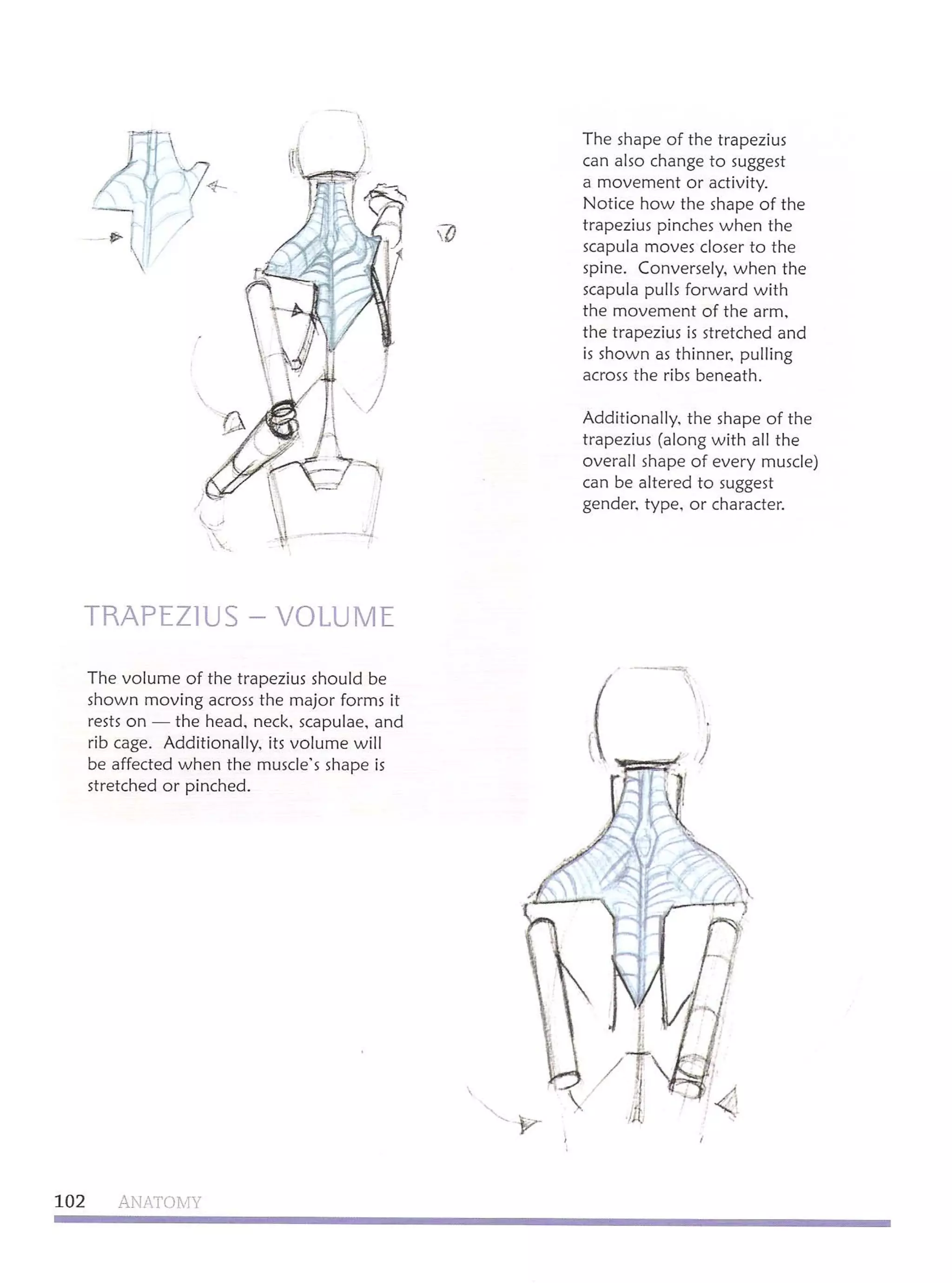 Michael hampton  figure drawing - design and invention