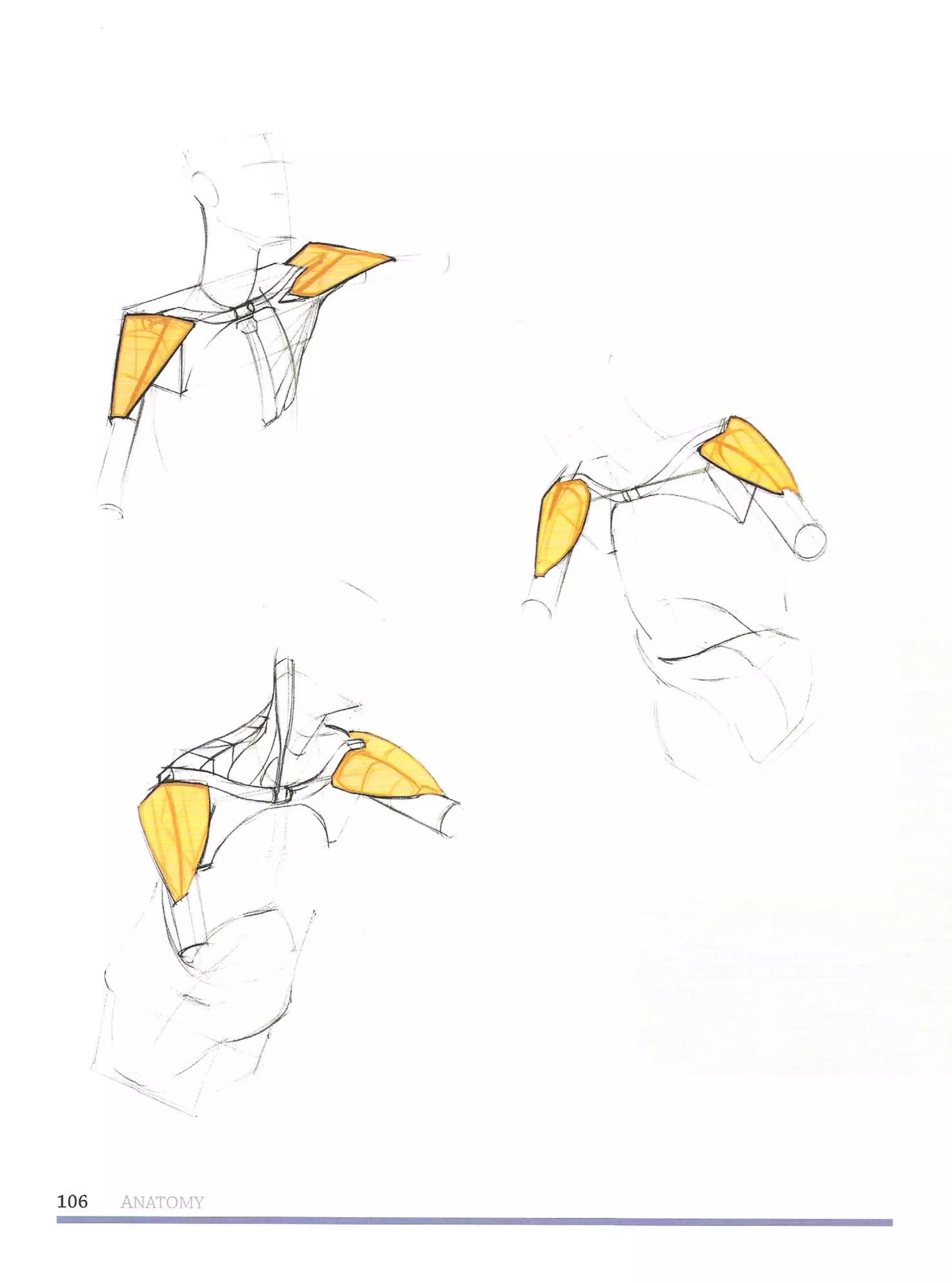 Michael hampton  figure drawing - design and invention