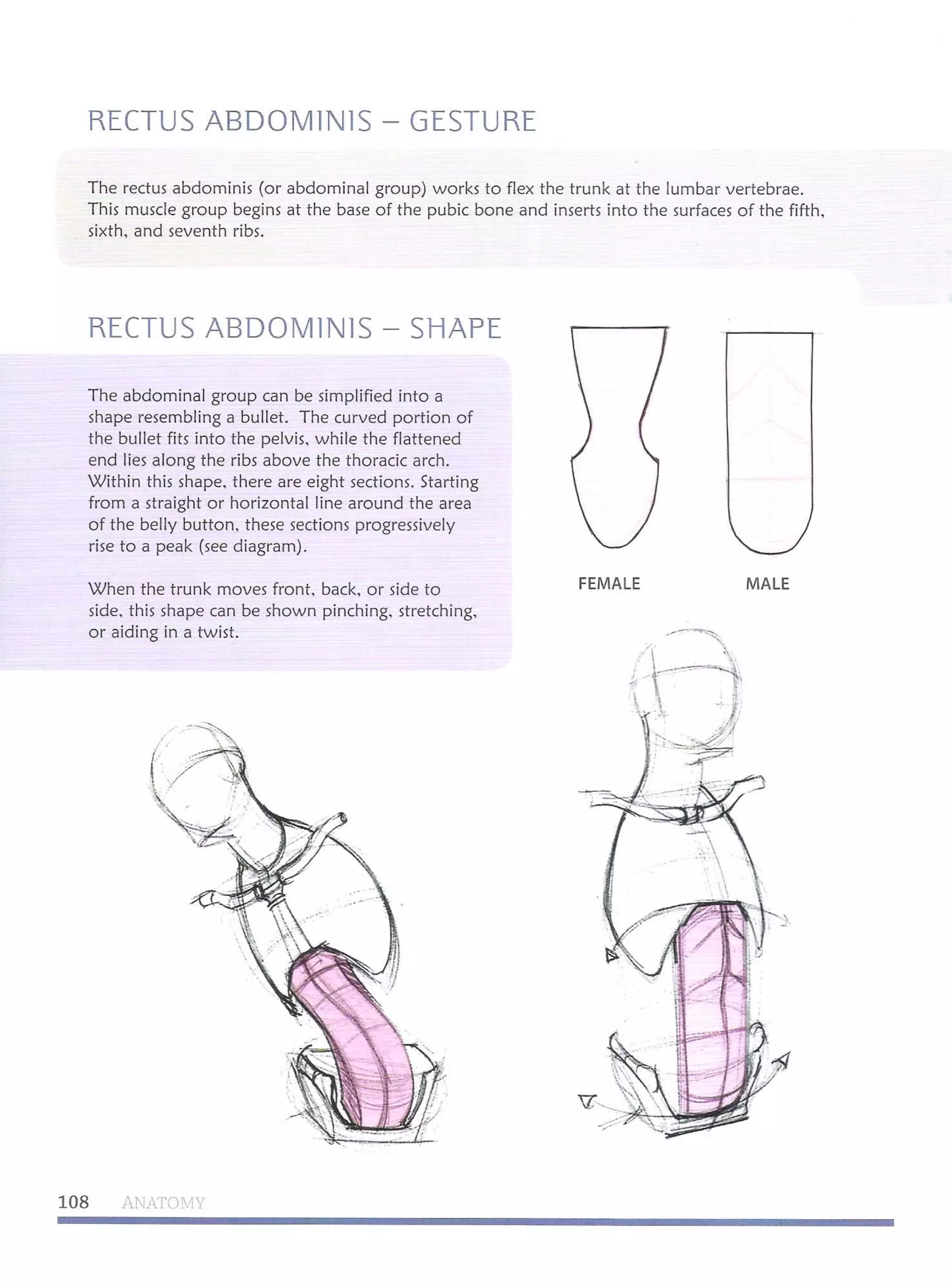 Michael hampton  figure drawing - design and invention
