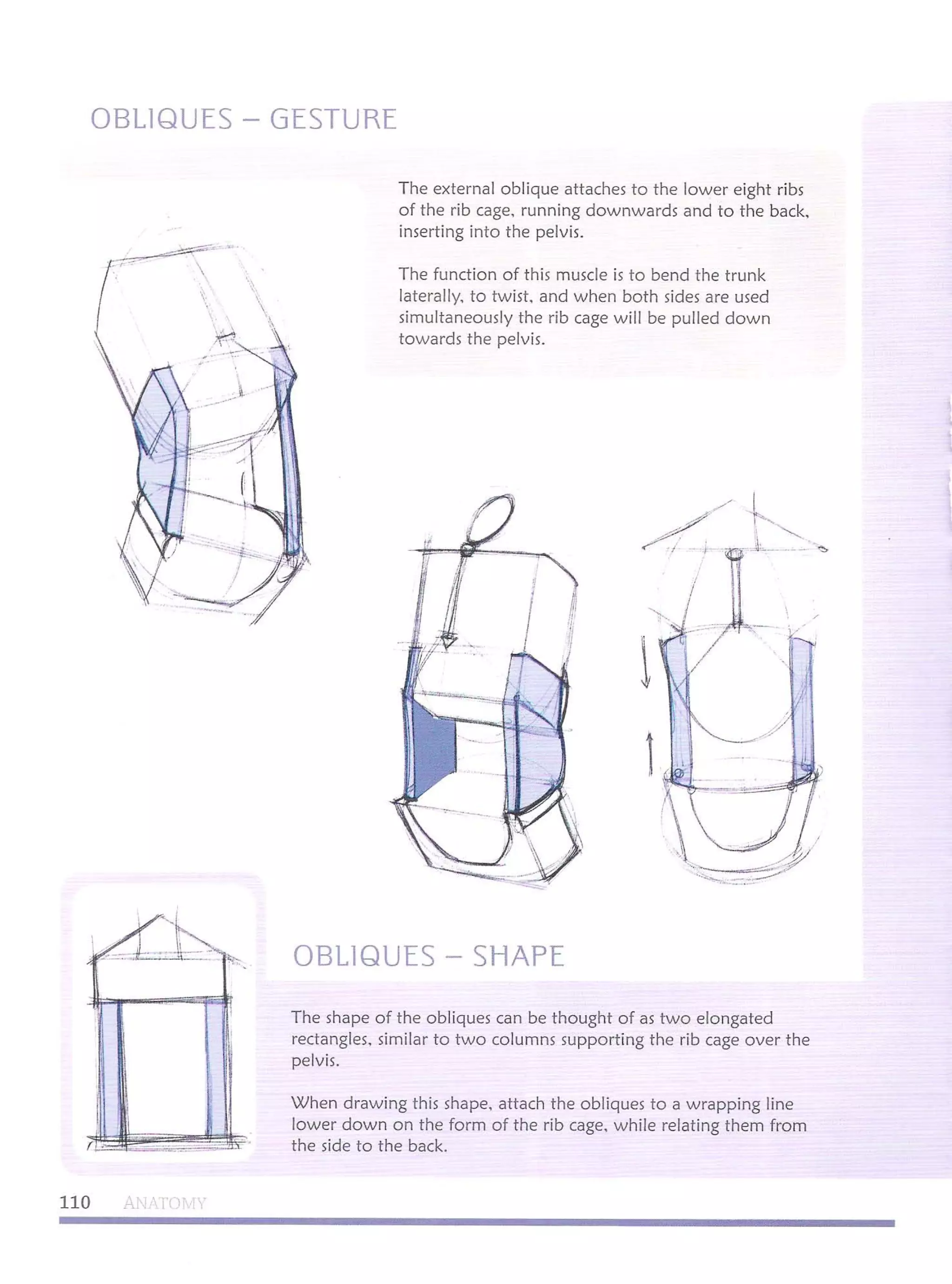 Michael hampton  figure drawing - design and invention