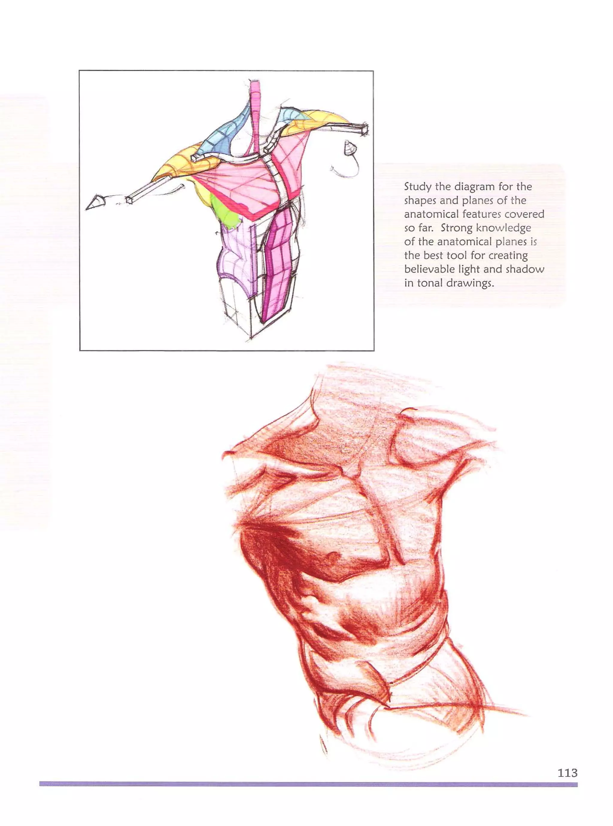 Michael hampton  figure drawing - design and invention