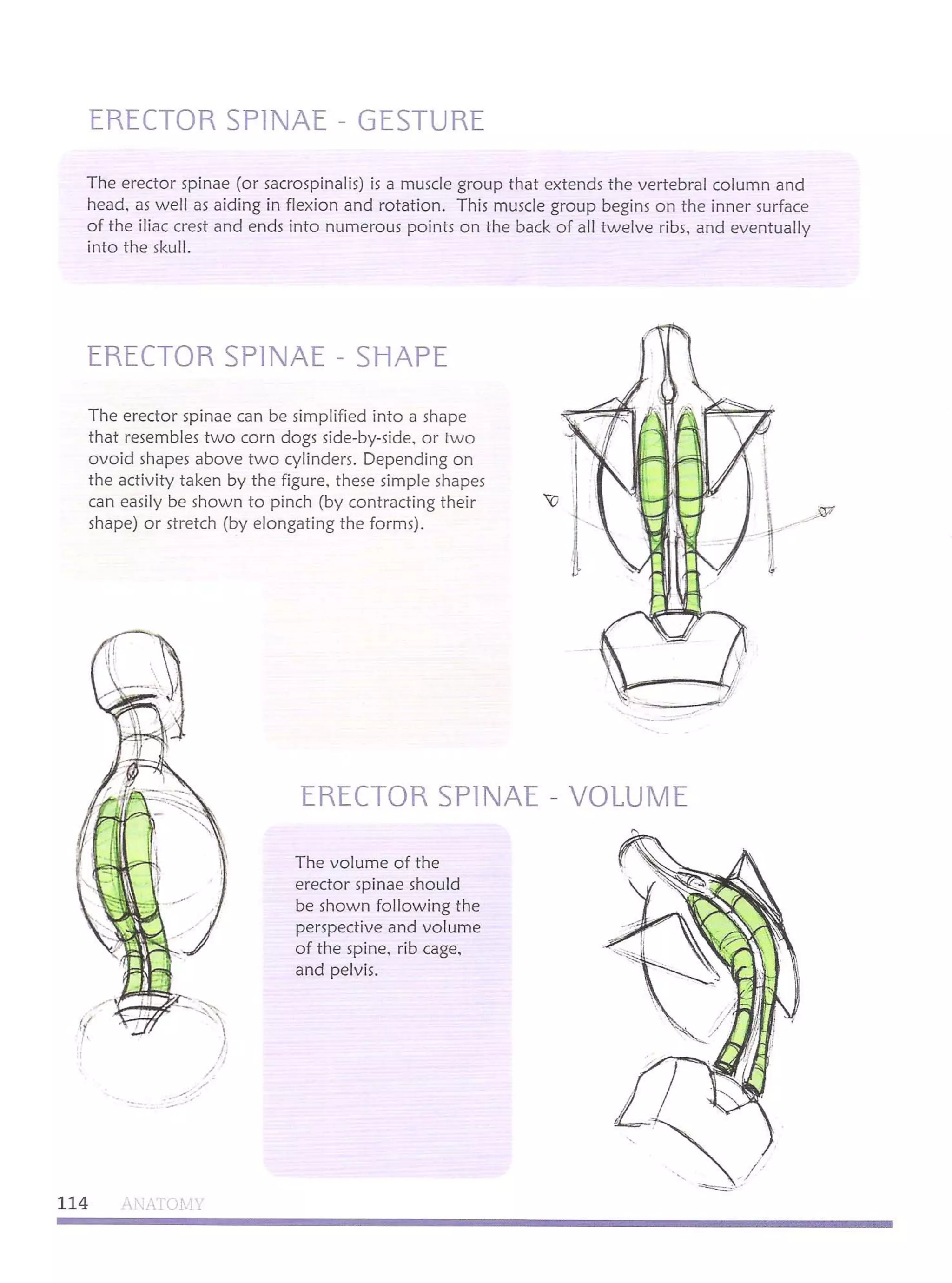 Michael hampton  figure drawing - design and invention