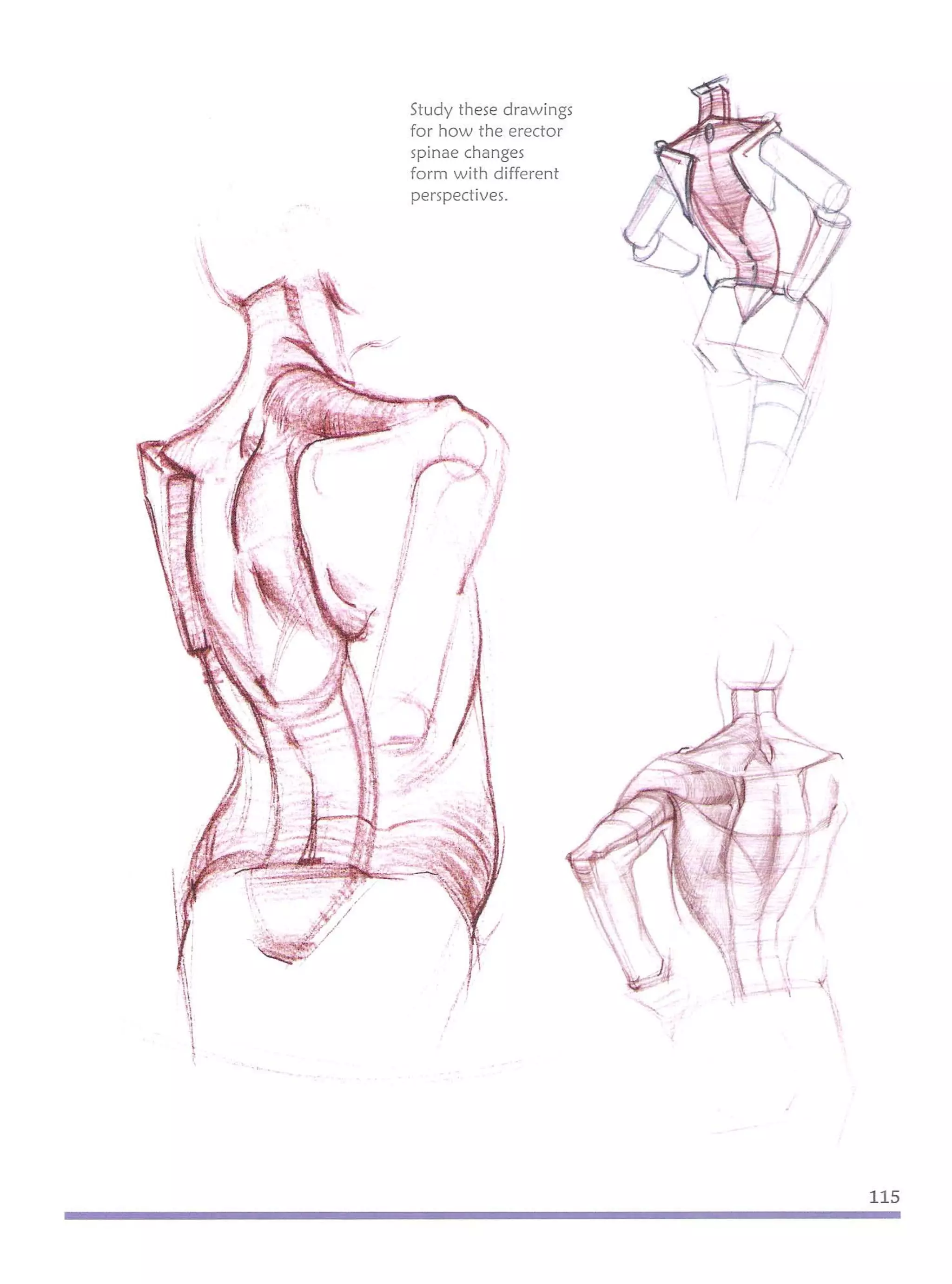 Michael hampton  figure drawing - design and invention