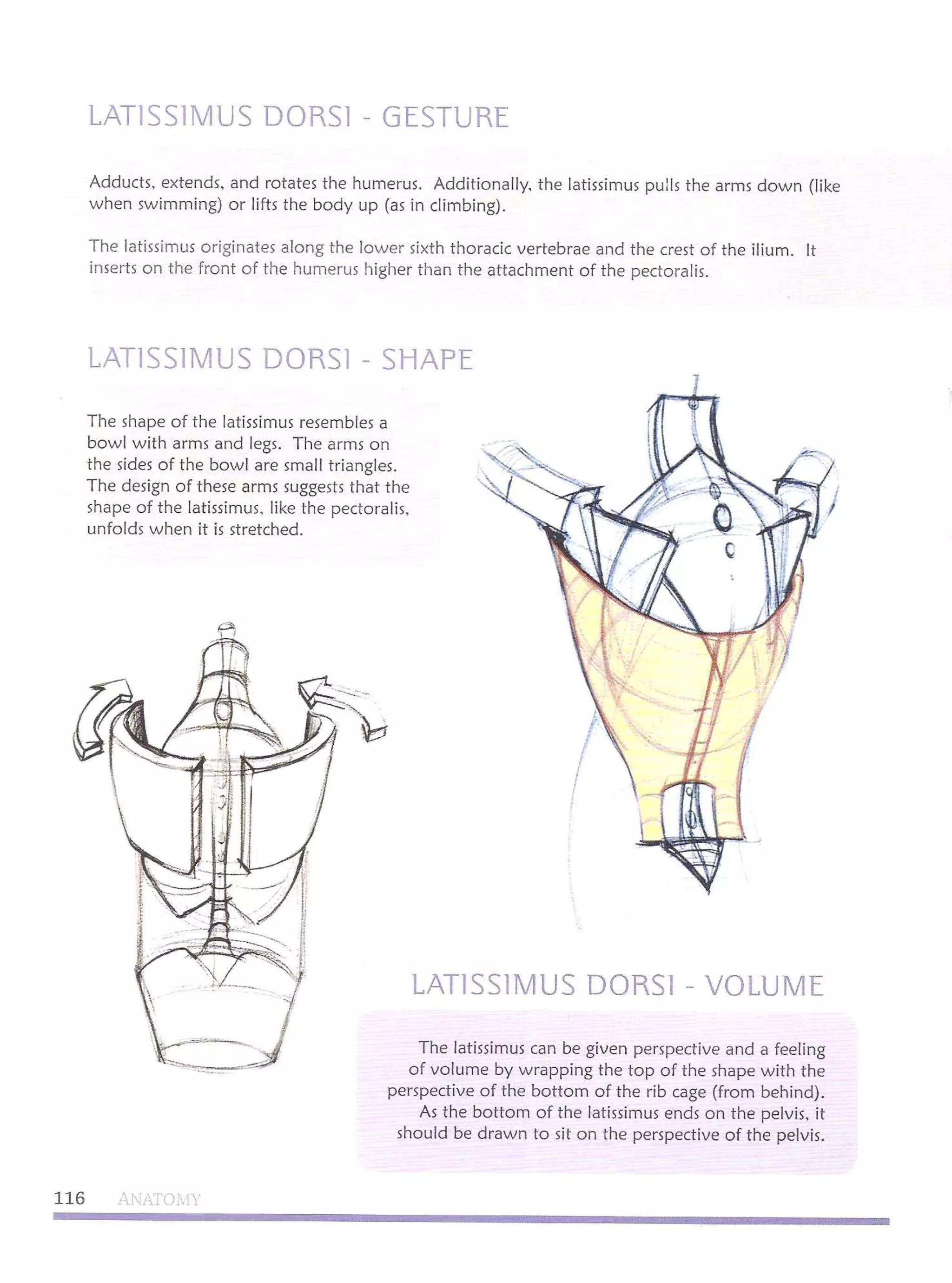 Michael hampton  figure drawing - design and invention